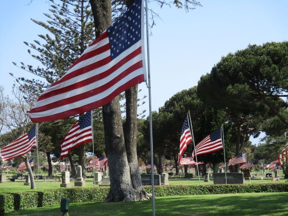 Veteran's flags flying at Ivy Lawn Cemetery, Memorial Day weekend 2021.